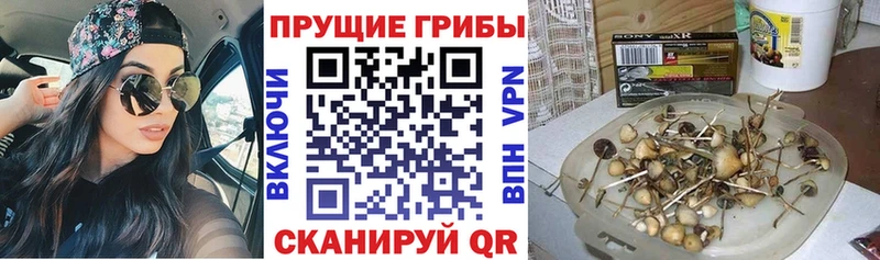 Галлюциногенные грибы Magic Shrooms  Купить где  Скопин 